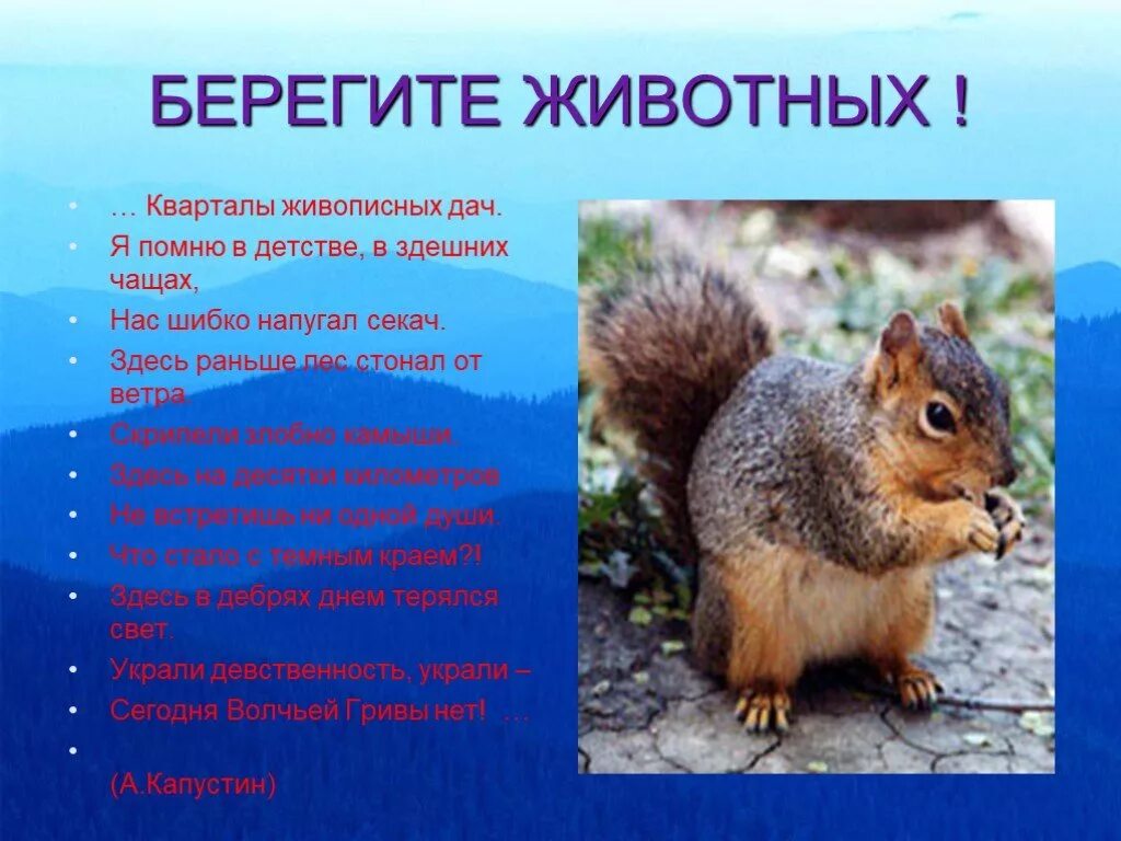Берегите животных окружающий мир третий класс. Книжка малышка берегите животных. книжка малышка берегите животных 3 класс. книжка малышка охрана животных. книга малышка береги животных.