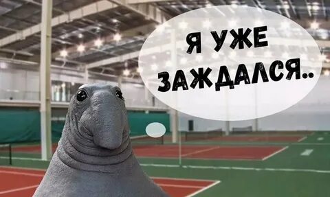 Ждун картинка смешная прикольная