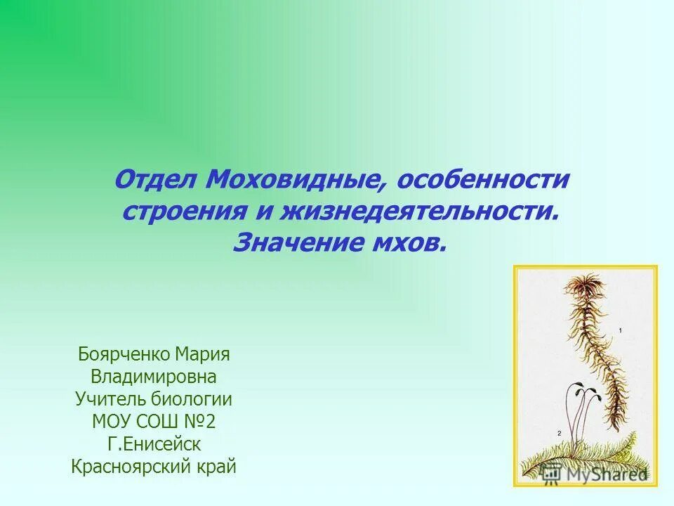 особенности строения моховидных. общая характеристика отдела моховидные кратко. какие особенности строения и жизнедеятельности мхов. особенности строения эвроциомицеты. какие особенности строения и жизнедеятельности мхов.