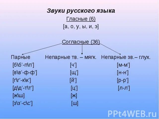 Парные и непарные звуки. Парные или непарные. Парные и непарные согласные. Парный или непарный звук. Парный ли звук