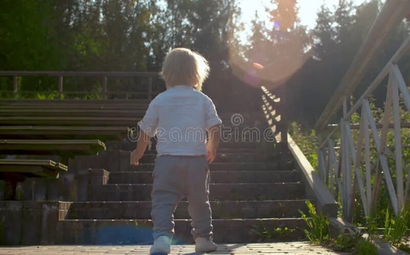 Мальчик поднимается по лестнице. Мальчик на лестнице с замками. Мальчик с лестницей в руках. Boy Climbing Stairs.