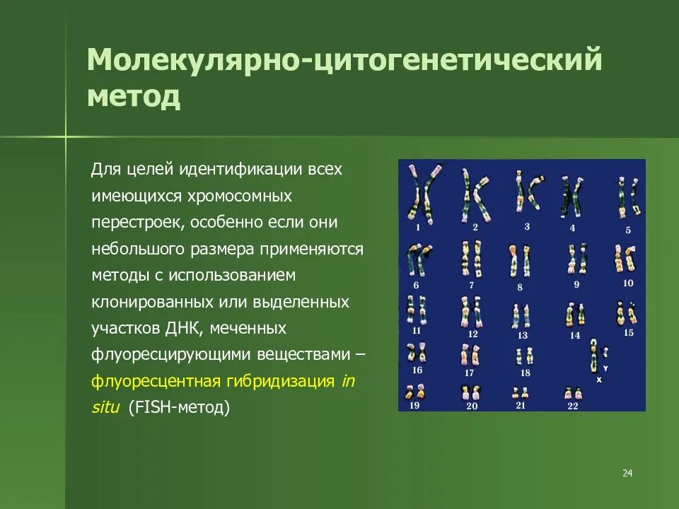 Какие методы используют для цитогенетического исследования. Цитогенетический метод исследования Fish. Методы молекулярной цитогенетики. Цитогенетический метод генетики. Молекулярно-цитогенетический метод.