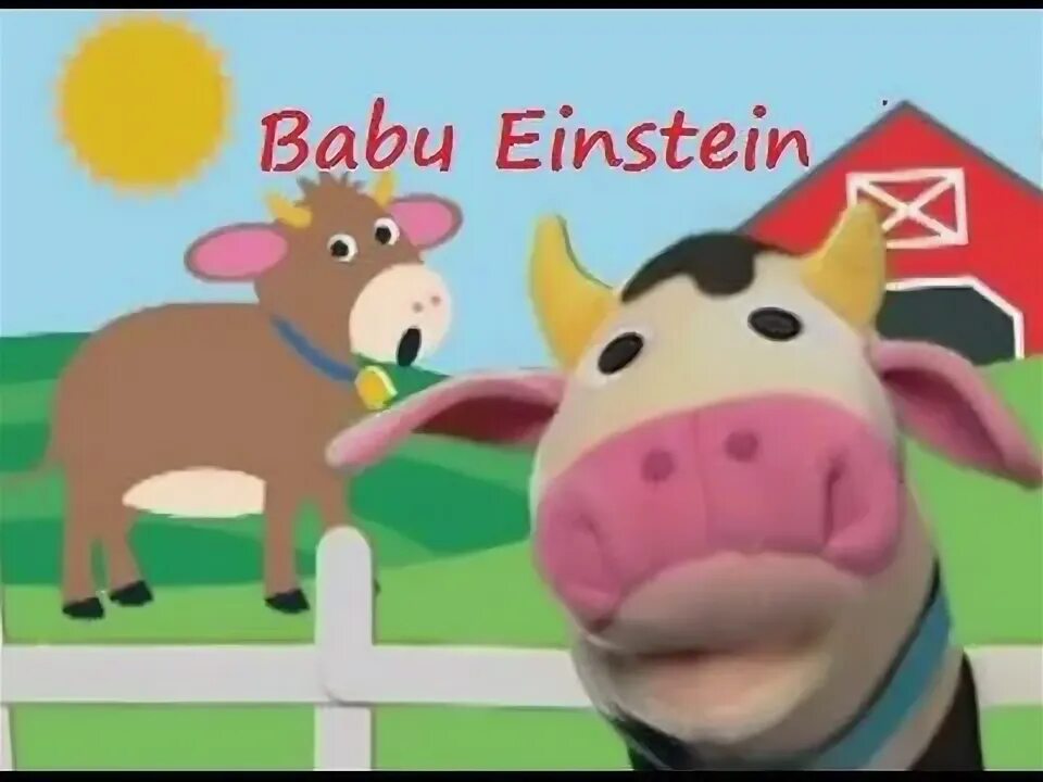 Бэби эйнштейн ферма. Бэби эйнштейн животные. baby einstein животные мои соседи.