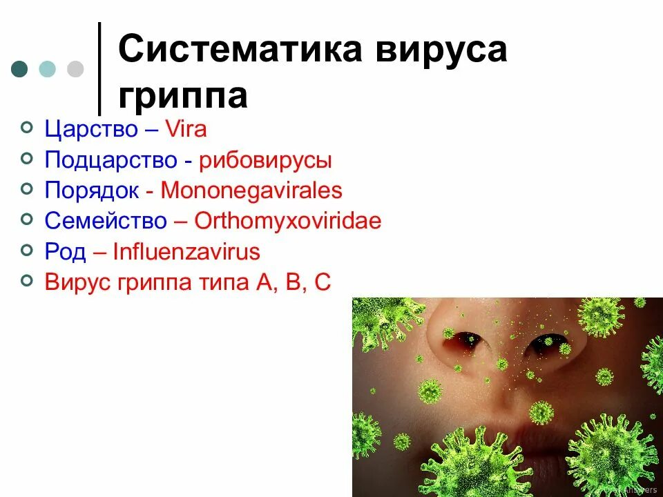 Грипп семейство. Таксономия положение вируса гриппа. Систематическое положение вируса гриппа. Таксономическое положение вируса гриппа. Вирус гриппа микробиология систематика.