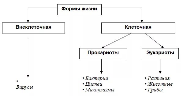 Существование форм жизни земля. Формы жизни клеточные и неклеточные таблица. Основные формы жизни неклеточные клеточные. Неклеточные и клеточные формы жизни схема. Неклеточные и клеточные организмы схема.