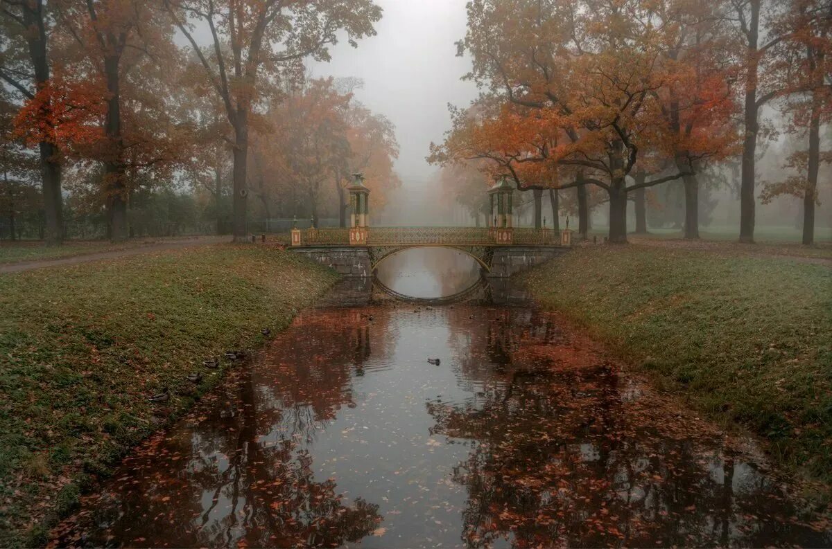 Песня осенью дождливый серый день. Пасмурная осень в городе. Дождливая осень. Осень дождь. Осенний пасмурный парк.