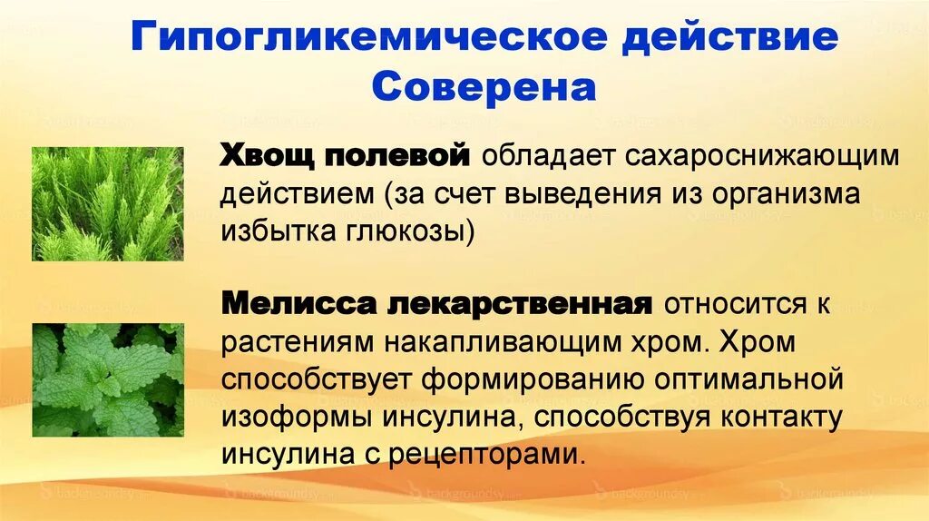 Гипогликемическое действие. ЛРС обладающие гипогликемическим действием. Оказывает гипогликемическое действие что это. Гормоны обладающие гипогликемическим действием. Какими действиями обладает филобиома актив