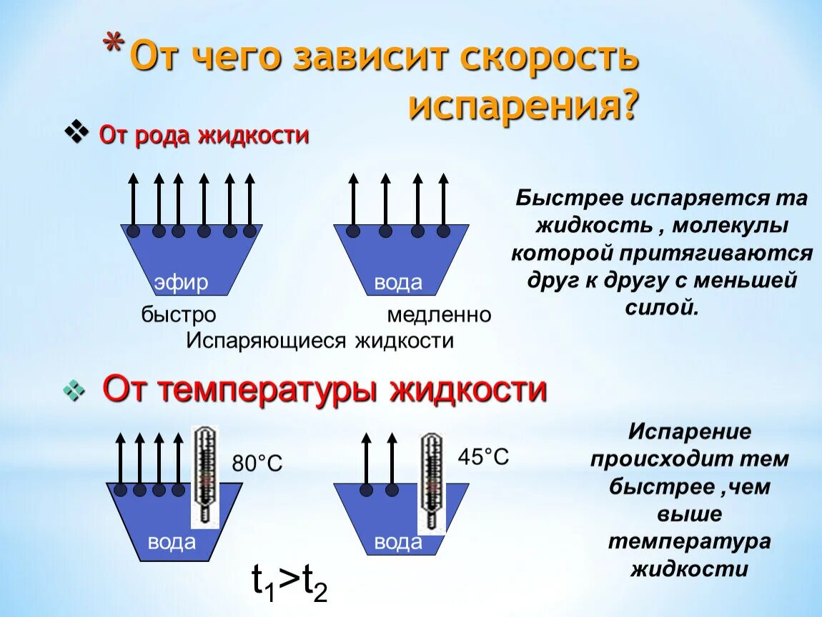 От чего зависит испарение физика 8 класс. От чего зависит скорость испарения. Скорость испарения жидкости зависит от. От чего зависит скорость испарения воды.