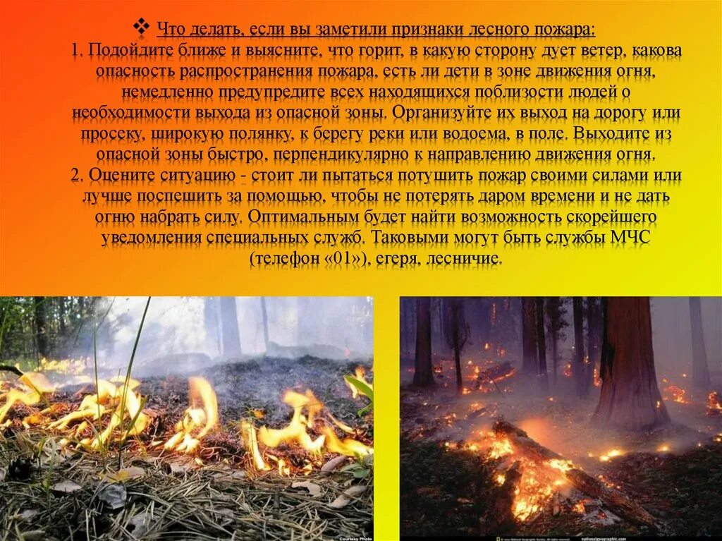 Горевший какой вид