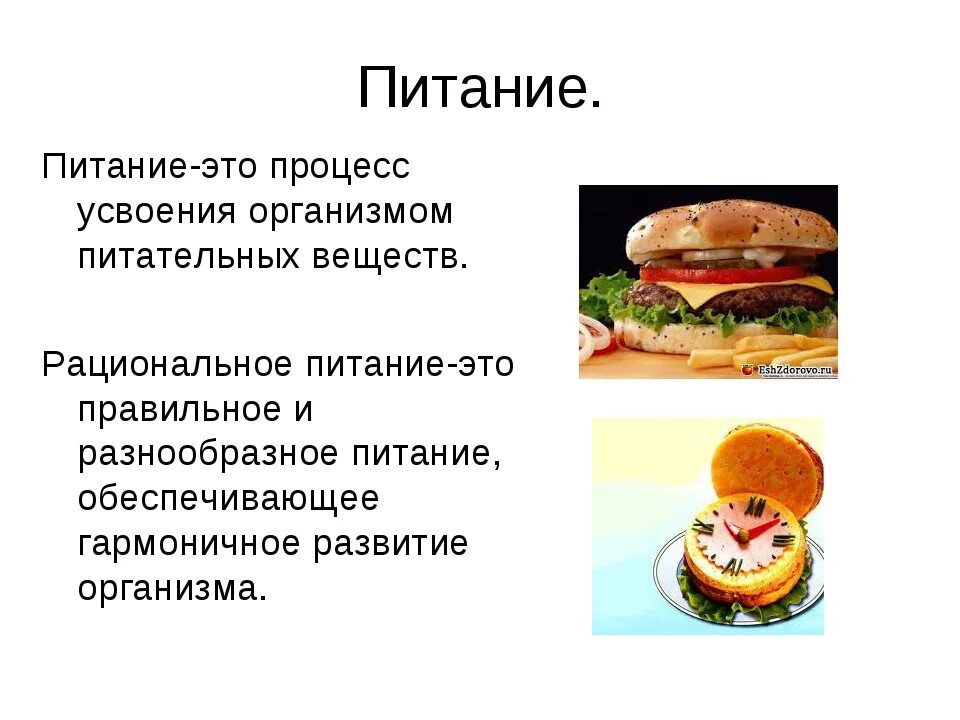 Дайте определения понятиям питание. Питание это определение. Питание это кратко. Питание определение кратко. Рациональное питание это определение кратко.