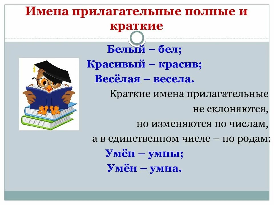 Имена прилагательные. Имена на п. Имя прилагательное 4 класс. Имя прилагательное 4 класс презентация. Краткие имена прилагательные изменяются по числам