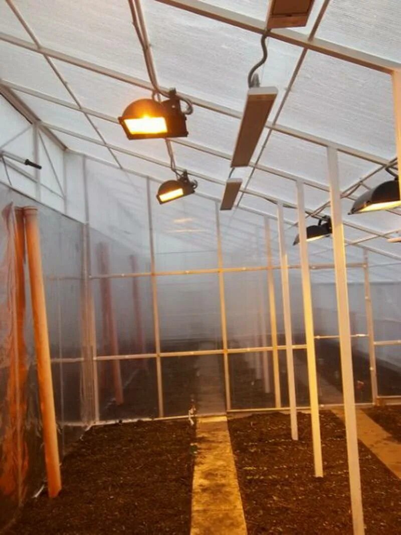 Инфракрасная лампа для обогрева теплицы. Отопление теплицы. Светильники для теплиц. Инфракрасная лампа для обогрева теплицы. Инфракрасный обогреватель для теплицы.