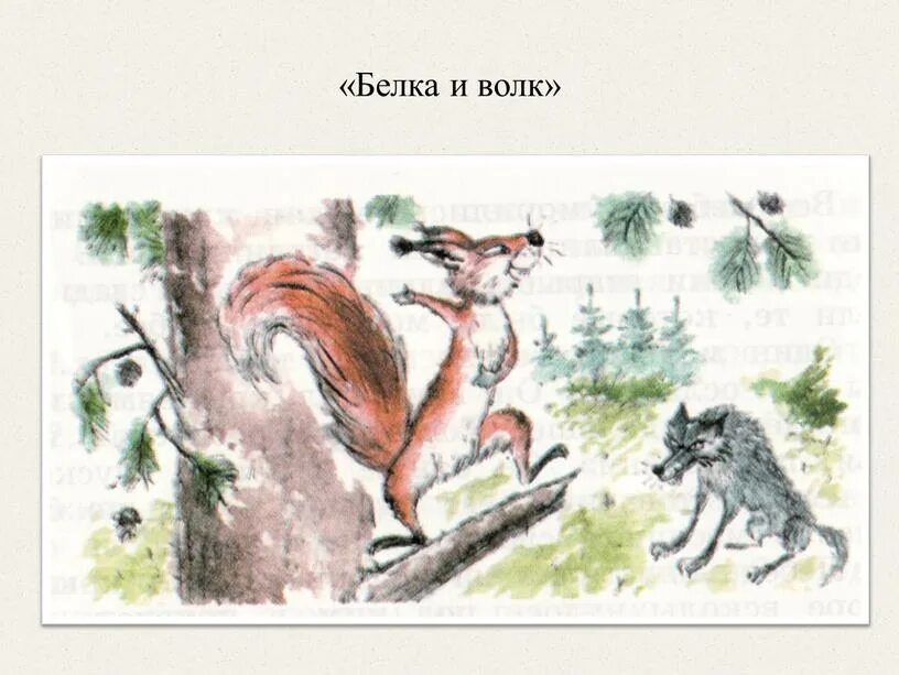 Белка и волк конспект урока. Сказка белка и волк л.н толстой. Басня л н Толстого белка и волк. Иллюстрации к сказке белка и волк Толстого. Лев Николаевич толстой басня белка и волк.