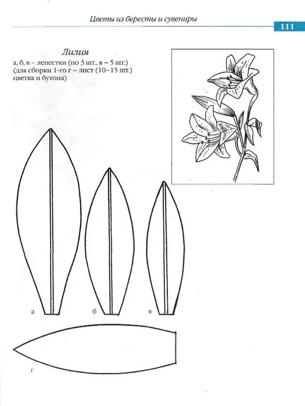 Форма листьев лилии. Шаблон лилии. Лепесток лилии шаблон. Лилия лепестки трафарет. Лилия из бумаги шаблон.