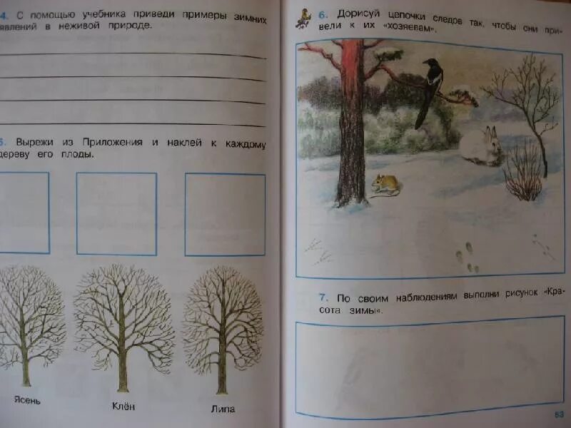 Задания по окружающему миру. Зима окружающий мир 2 класс. В гости к зиме рабочая тетрадь. Рабочие листы по окр миру 2 класс.