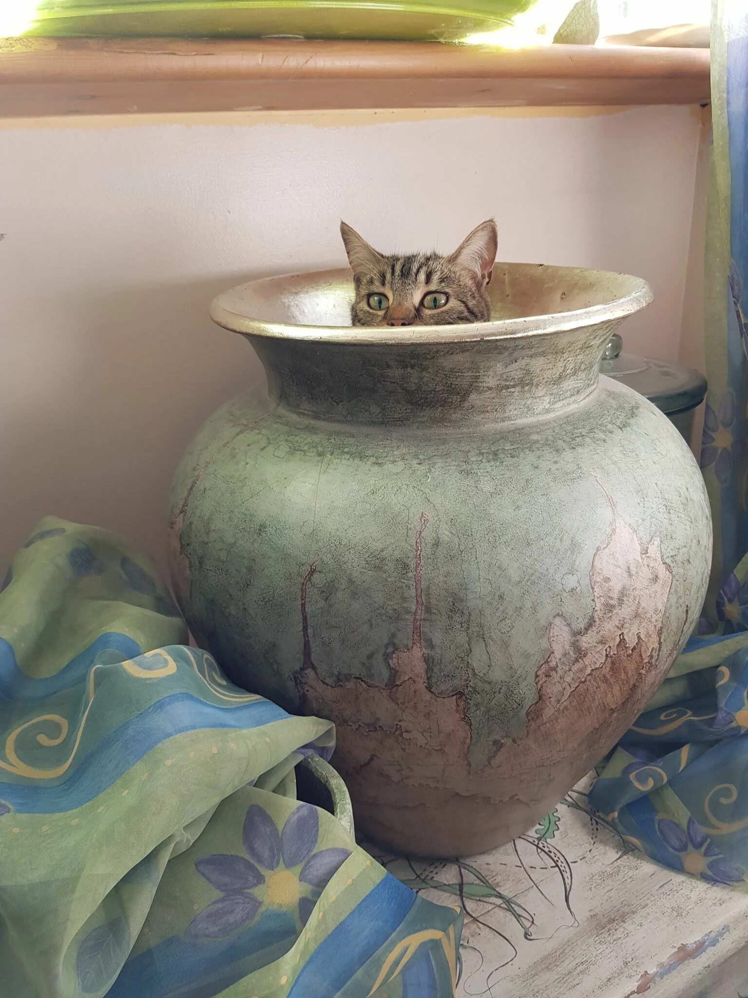 Где прячется кот. Где прячется кот