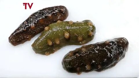 Как едят морской огурец видео