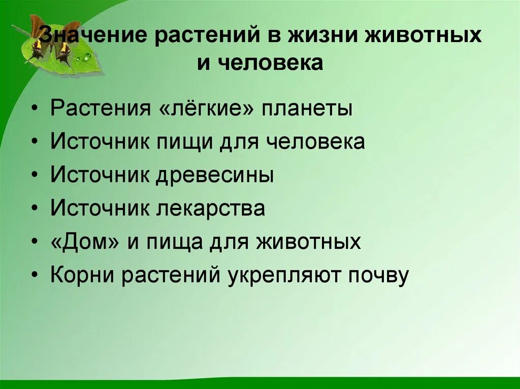 Какое значение для растения. Значение растений в жизни человека. Значение растений и животных в жизни человека. Значение растений для животных. Роль растений в природе.