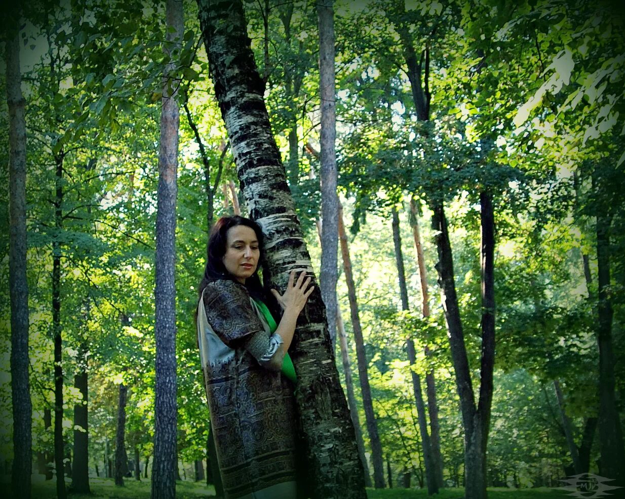 Обними березку. Обнимает березку. Объятия Березки. Фото женщин со Священного леса. Женщина обнимает березу.