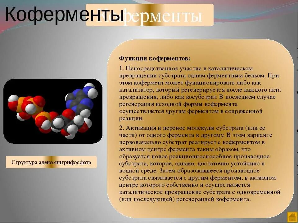 Кофермент субстрат. Коферменты гидролаз. Регуляторы биохимических процессов. Фермент субстратный комплекс. Схема взаимодействия фермент субстратного комплекса.