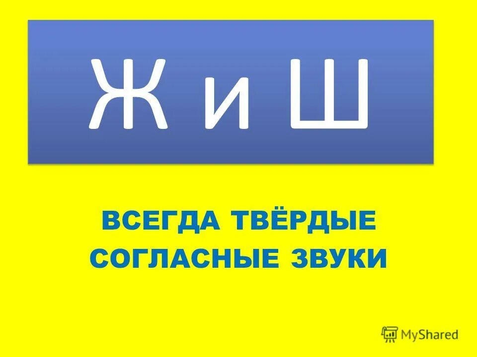 Звук ж всегда. Ж Ш всегда. Звук ж всегда твердый. Звук ж и ш всегда Твердые. Звуки ж ш всегда.