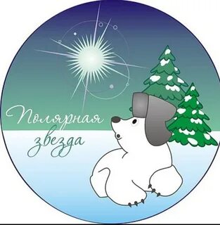 Зимние названия команд