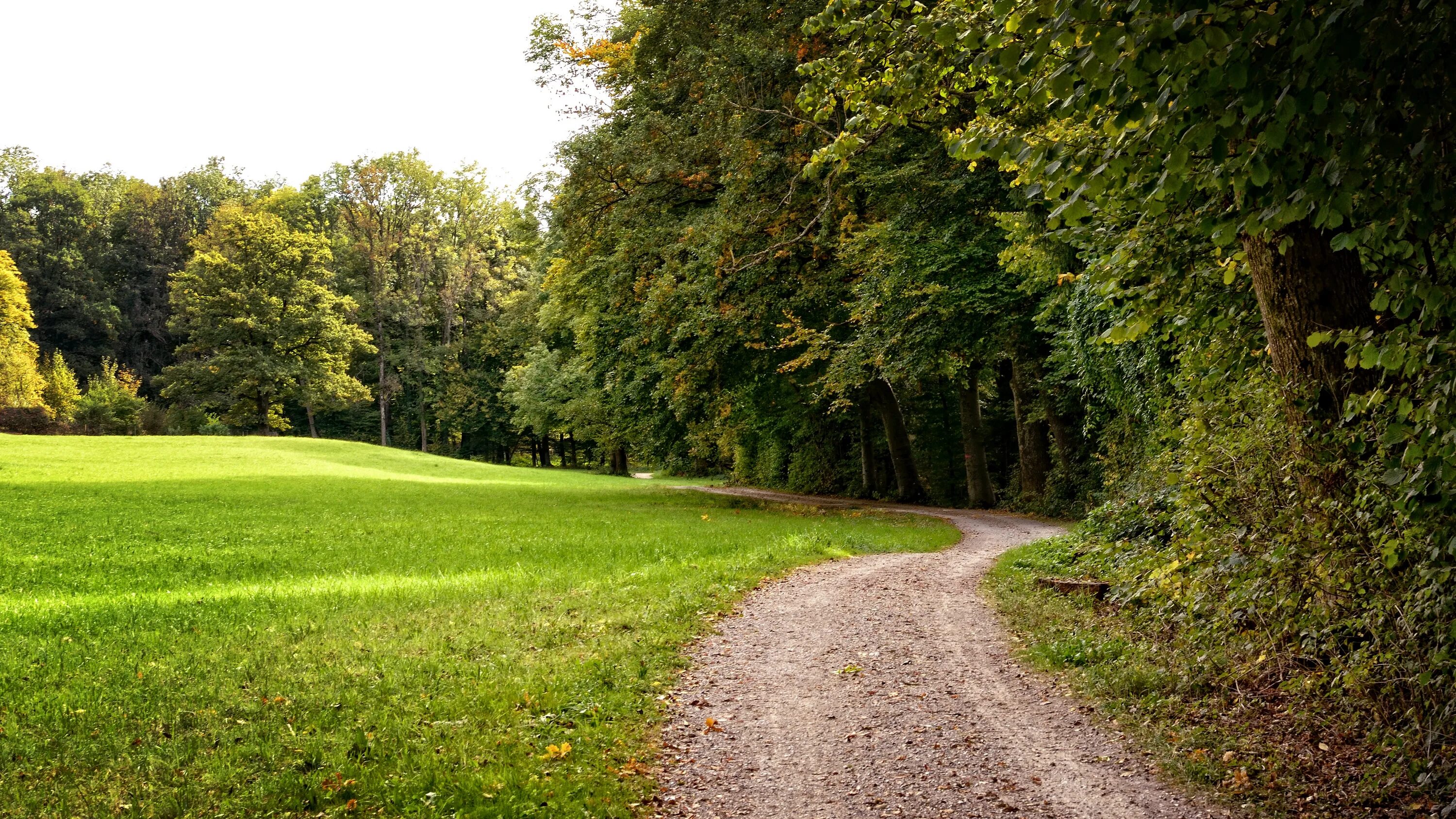 Path thread