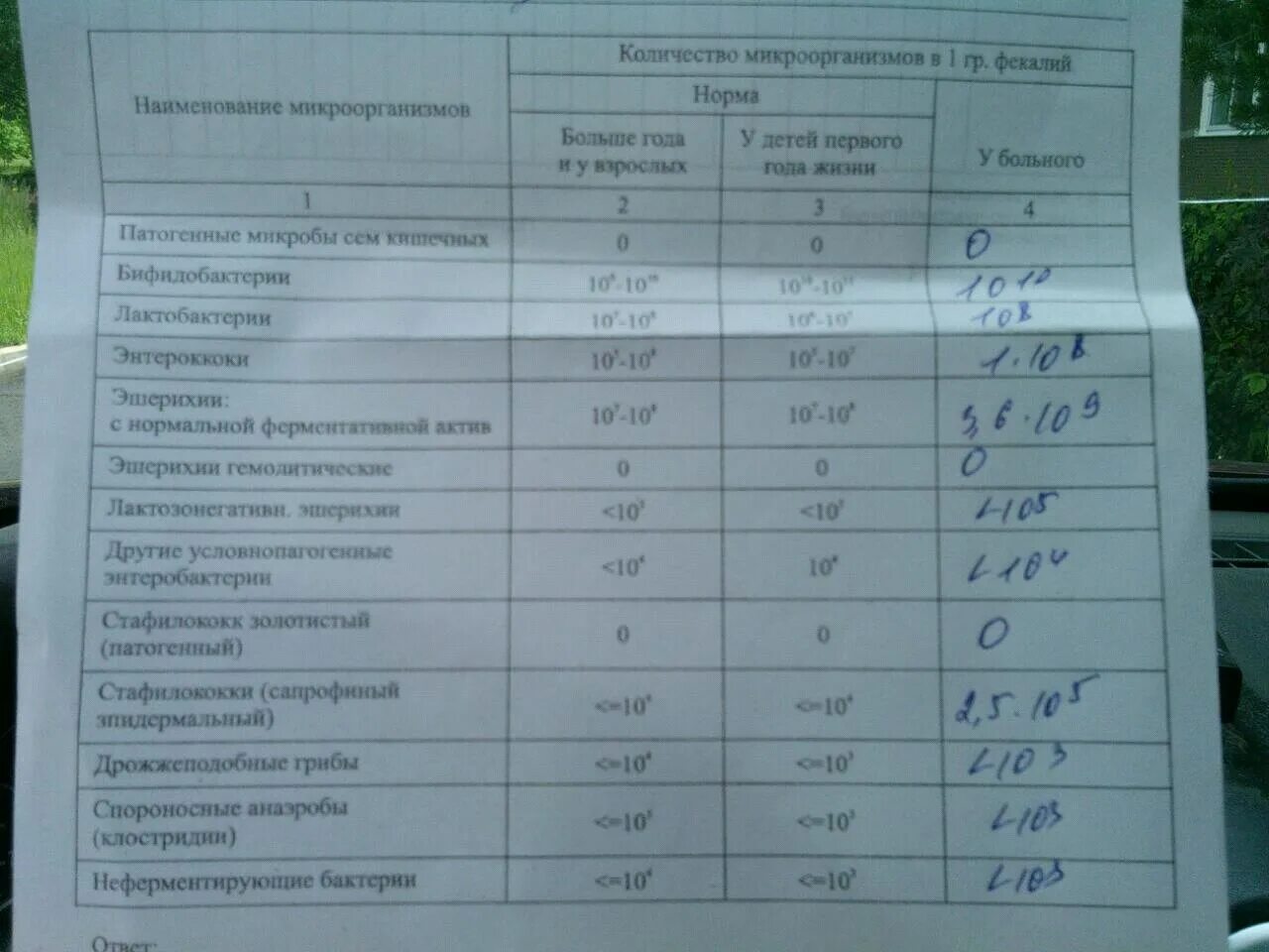 Норма показателей кала на дисбактериоз. Норма анализа на дисбактериоз. Результат анализа на дисбактериоз. Дисбактериоз у ребенка норма.