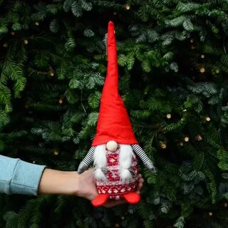 Red gnome