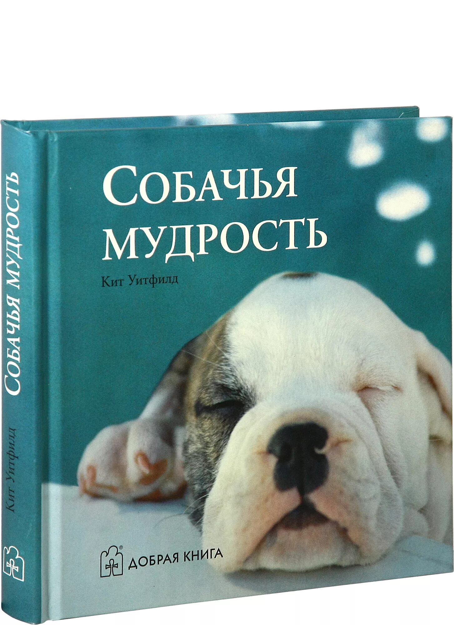 Книги о собаках отзывы. Книги про собак. Книги о собаках для детей. Собака с книжкой. Книга щенок.