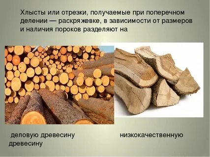 Заготовка леса процесс сложный и трудоемкий