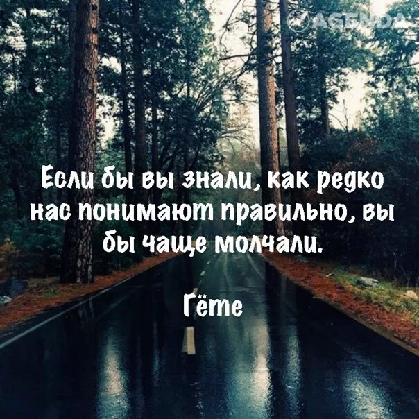 Точно понимаю. Если бы вы знали как редко нас понимают правильно. Если бы нас правильно понимали мы бы чаще молчали. Меня неправильно поняли цитаты. Если бы мы знали что как редко.