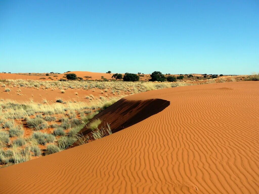 10 самых больших пустынь в мире. Полупустыня Калахари. Ботсвана пустыня Калахари. Намибия Калахари. Африка пустыня Калахари.