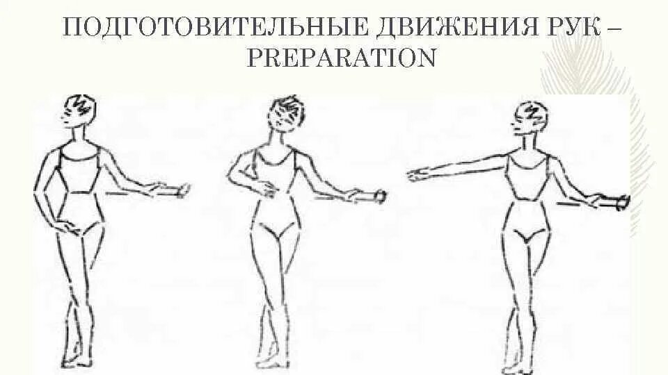 Вторая позиция рук. Деми плие в 1 позиции. Положение корпуса в классическом танце. Руки в классическом танце. Позиции в классическом танце.