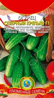 Северен огурец отзывы