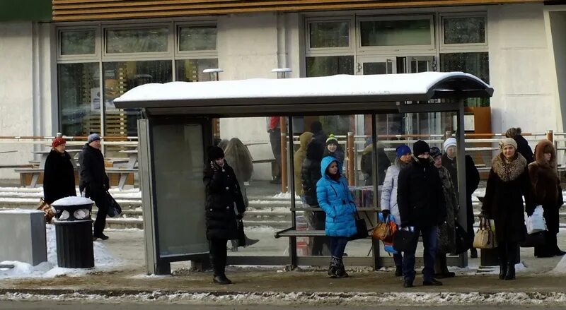 Аня ждет автобус на остановке. Люди на остановке. Люди на остановке зимой. Очередь на остановке. Очередь на остановке зимой.