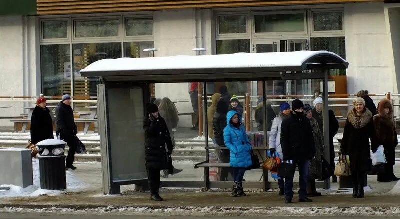 Встретил мачеху на остановке. Люди на остановке зимой. остановка. люди на остановке. очередь на остановке.