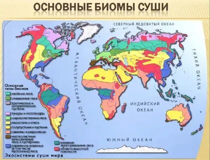 Ландшафты основных природных зон