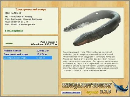 Князь угорь