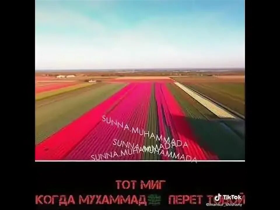 В тот миг это. Картинки со смыслом. Испытывать страх. Цитаты коэльо. Жизнь это миг.
