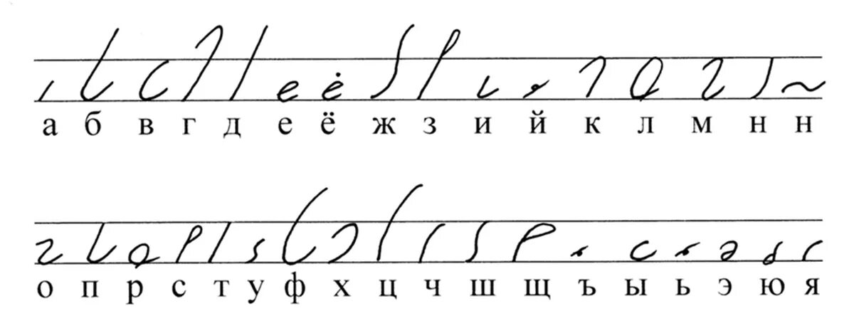 Сцинтиграфическое исследование щитовидной железы. Стентография. Продукты полезные для сердечно-сосудистой системы. Радиоизотопное сканирование щитовидной железы. Стентография.