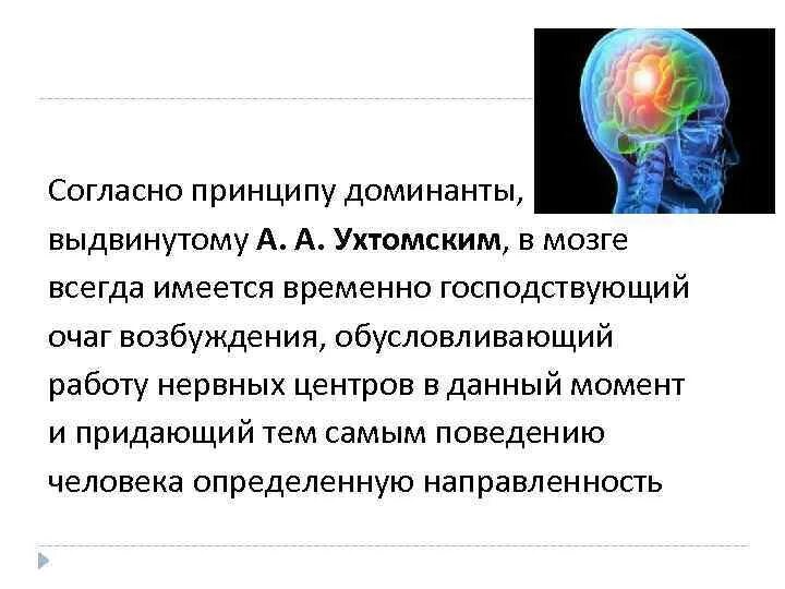 Какой ученый открыл явление доминанты. Доминанта ухтомского физиология. теория доминанты ухтомского. принцип доминанты ухтомского. механизмы формирования доминанты по а.а ухтомскому.