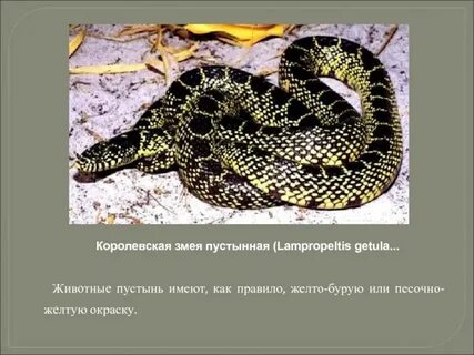 Приспособления змеи