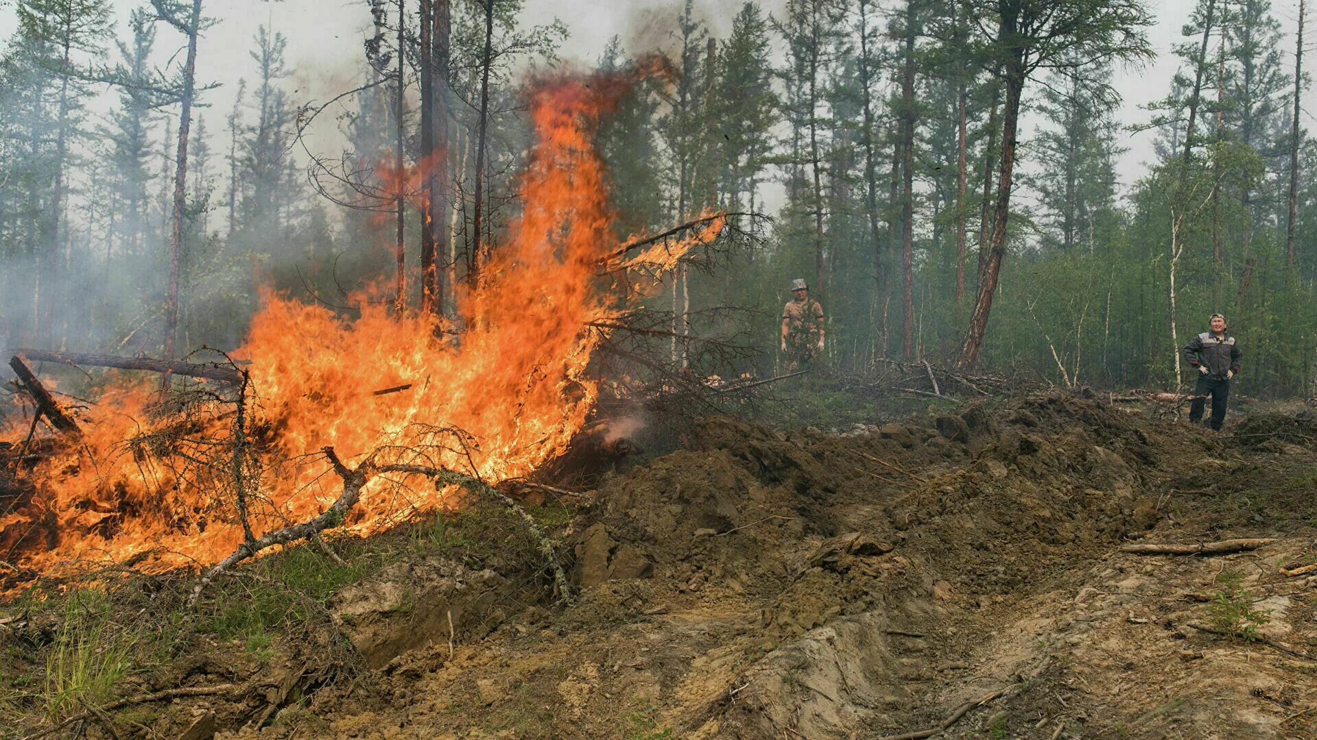 Крупные пожары в россии за последние годы. Лесные пожары в Якутии 2021. Лесные пожары в Марий Эл 2021. Лесные пожары в России 2021 Якутия. Лесные пожары в Якутии 2022.