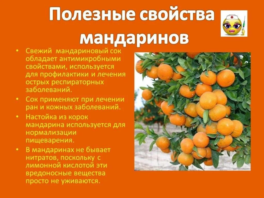 Содержание мандаринов. Полезные свойства мандаринов. мандарины полезные свойства. что полезного в мандаринах. интересные факты о мандаринах.