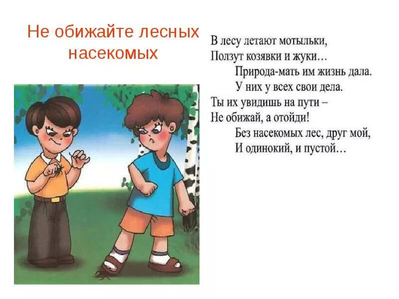 Не обижайте лесных насекомых. Правила поведения в лесу. Не обижай природу. Правила не обижать природу. Не обижайте героя