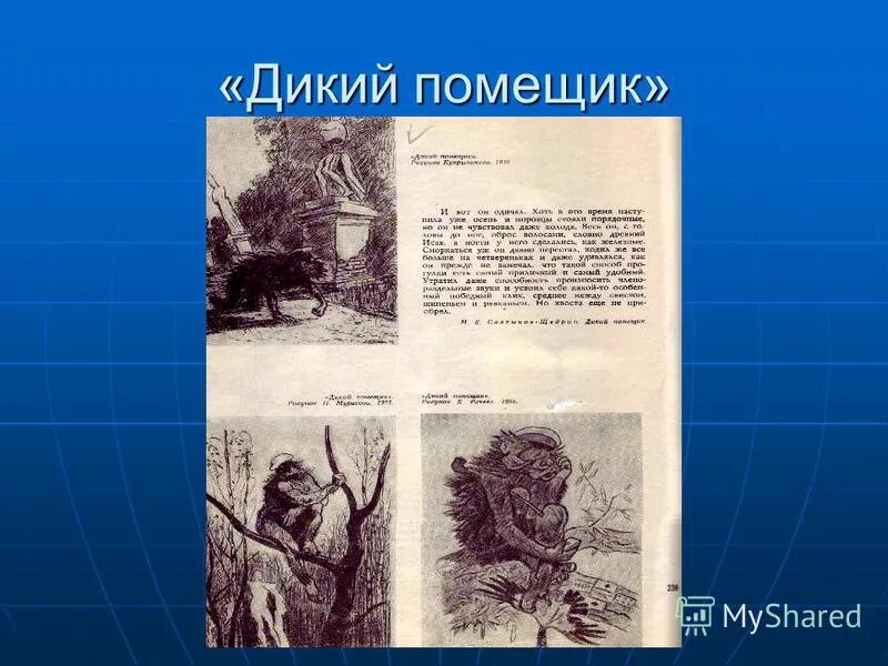 Салтыков-щедрин дикий помещик. Салтыкова-щедрина дикий помещик. Почему помещик одичал. Дикий помещик проблематика. Дикий помещик картинки.