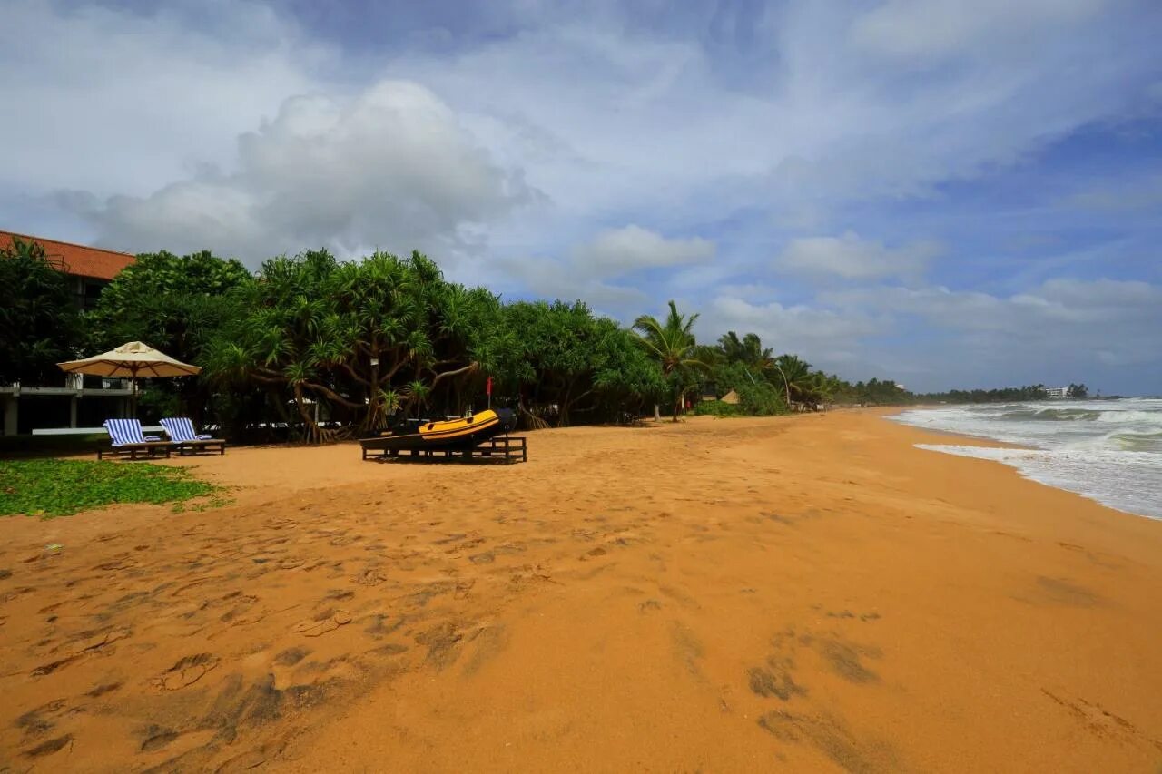 Temple tree resort. Temple tree resort