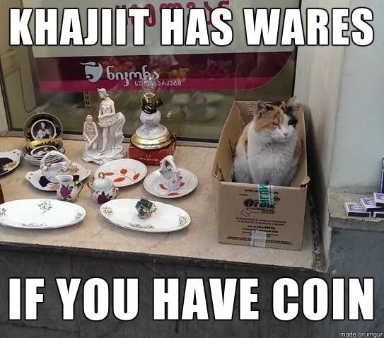 You have a good time now. Khajiit has Wares. Khajiit has Wares if you have Coin. Каджит Мем. Khajiit stole nothing.