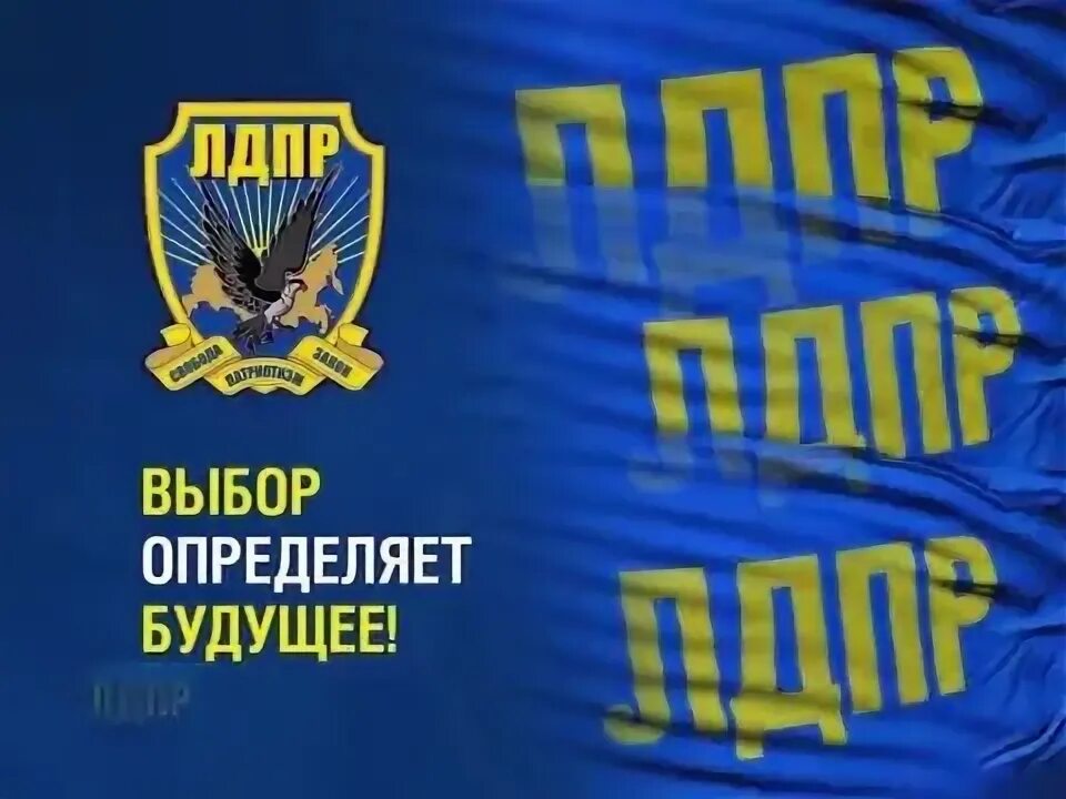 Лучший лдпр. Флаг лдпр. лдпр логотип. брошюра лдпр.